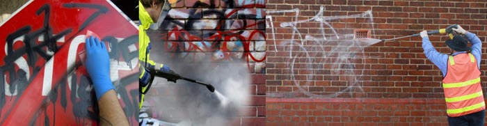 Biobased Graffiti Remover